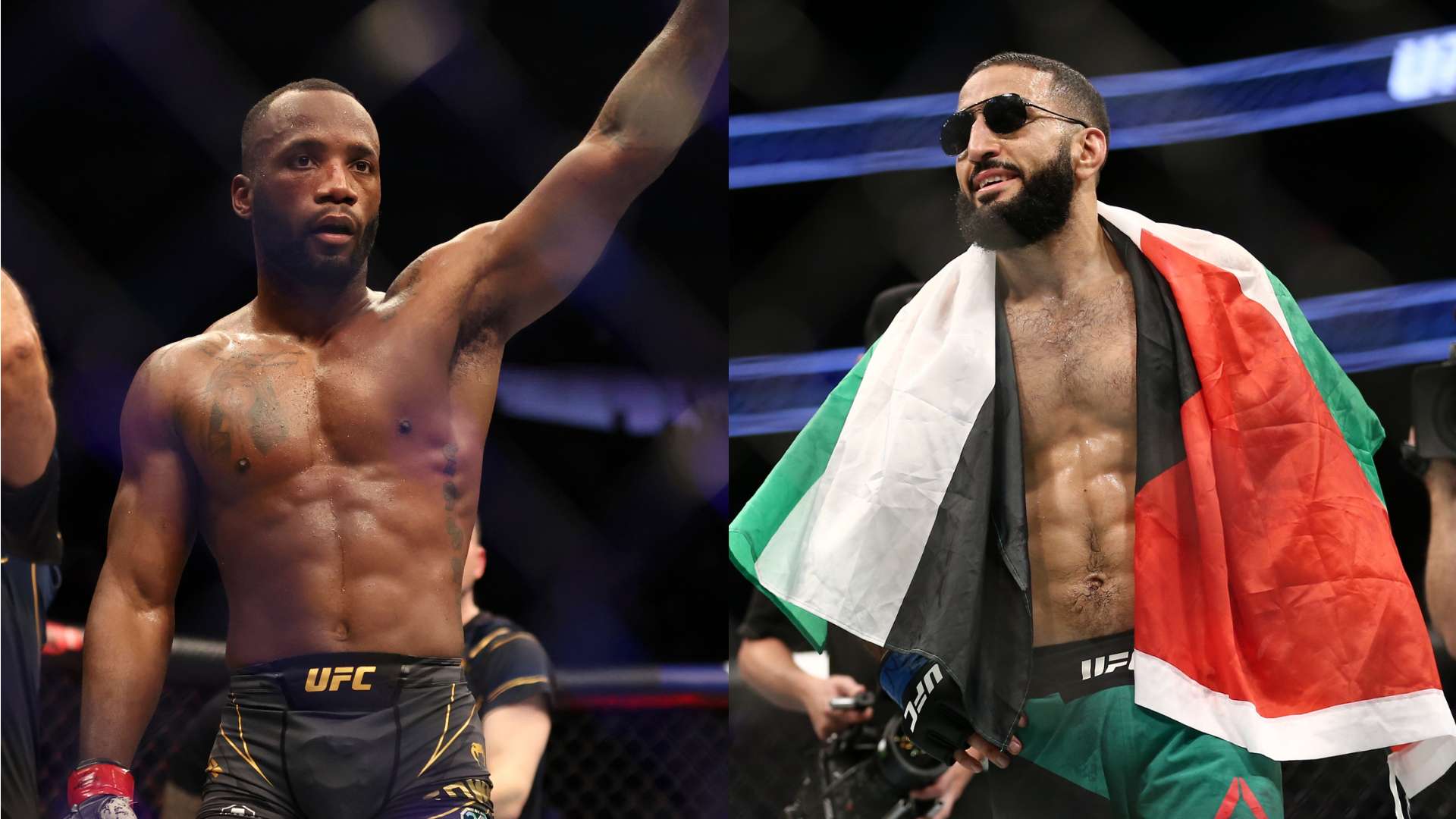 展现了年轻 展现了年轻